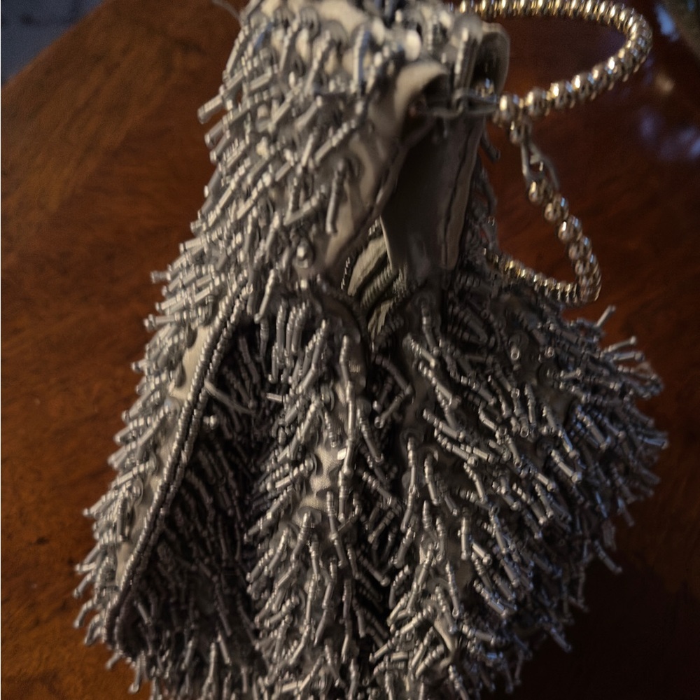 Beautiful silver party purse